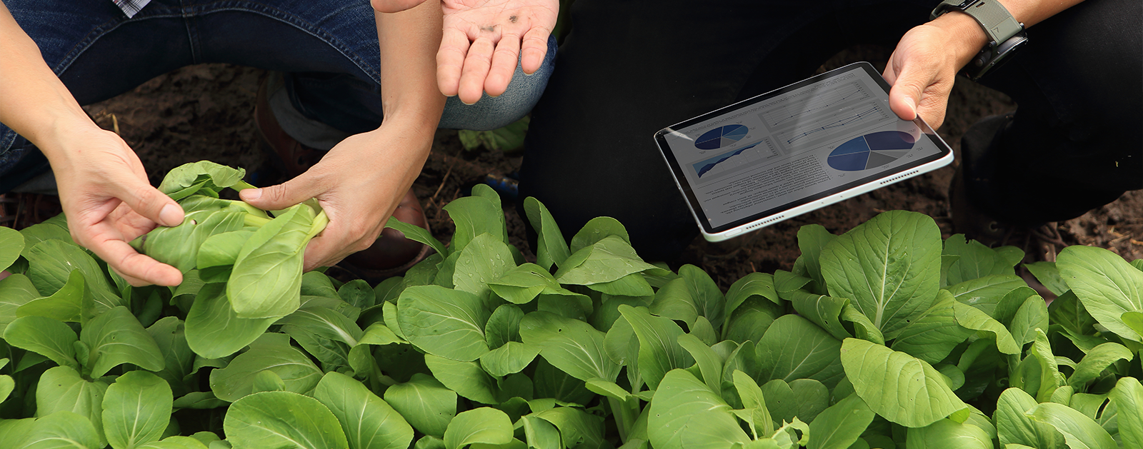 Making use of today’s technology